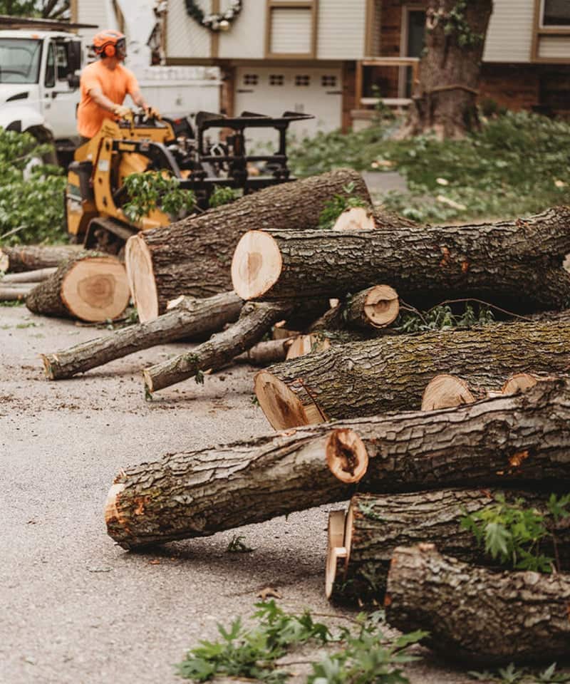 Tre's Tree Services team portrait