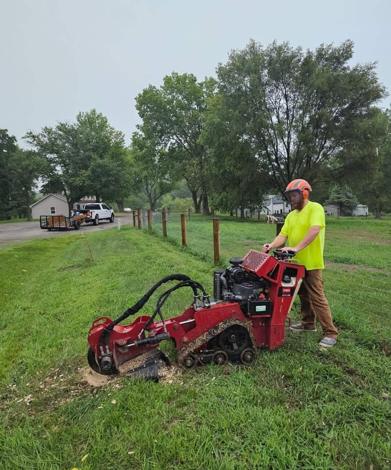 Completed tree service projects in Kansas City and Liberty, Missouri