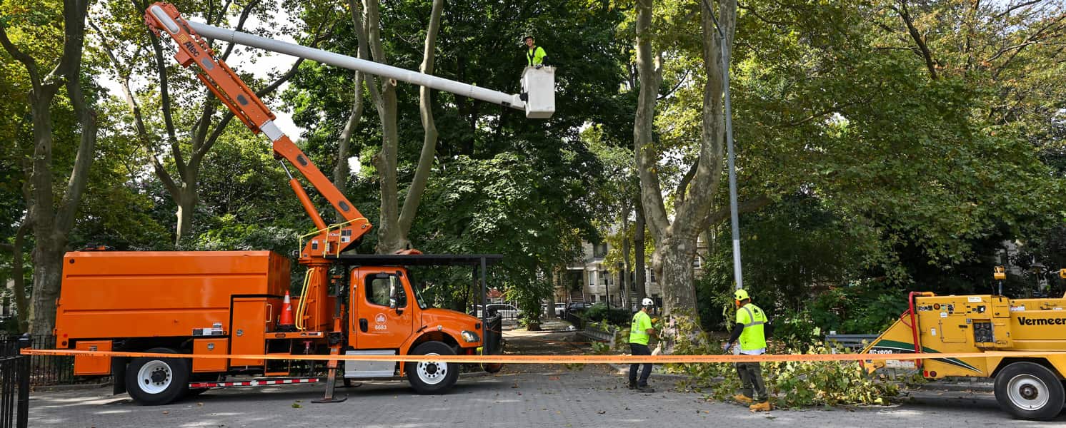 Lot clearing trees and brush removal Kansas City